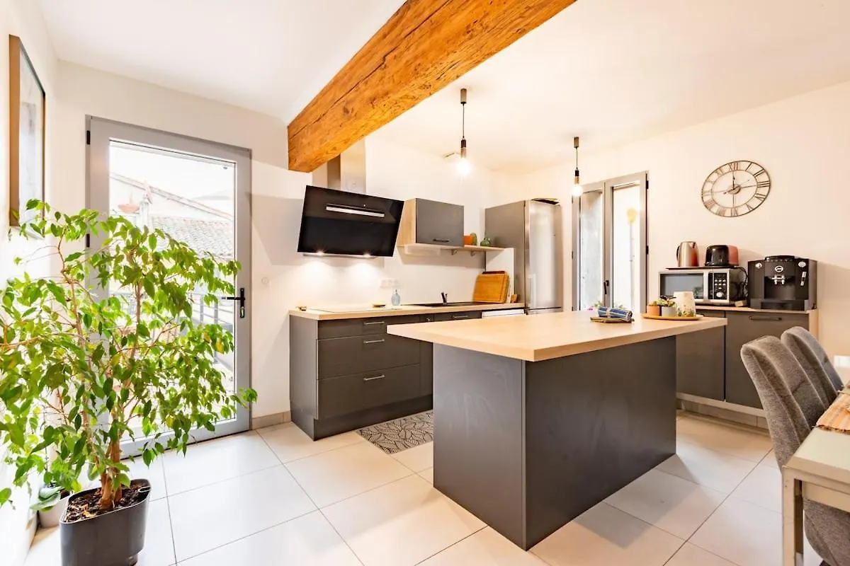 Apartament Le Grand Jany Spacious T4 With Terrace Castanet-Tolosan