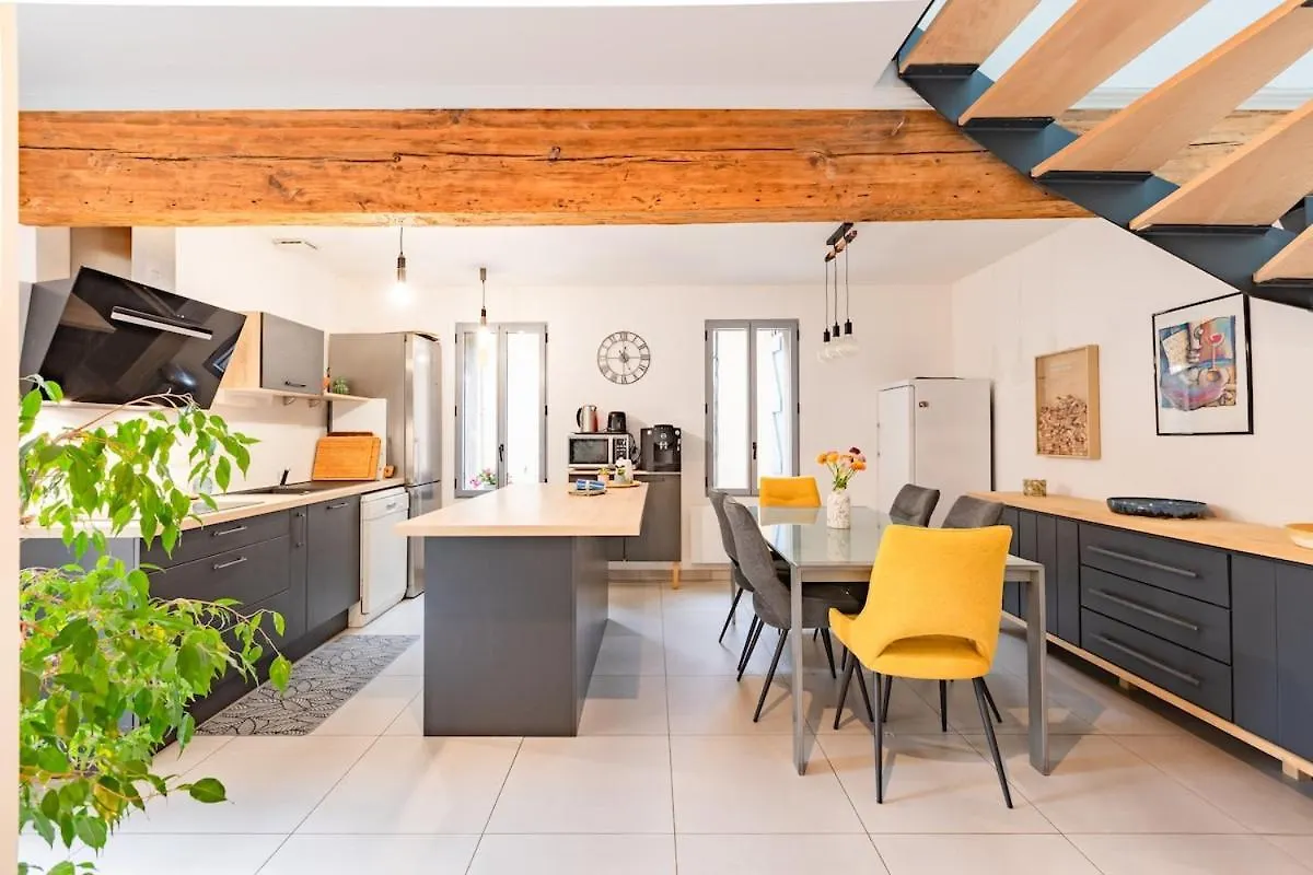 Le Grand Jany Spacious T4 With Terrace Castanet-Tolosan