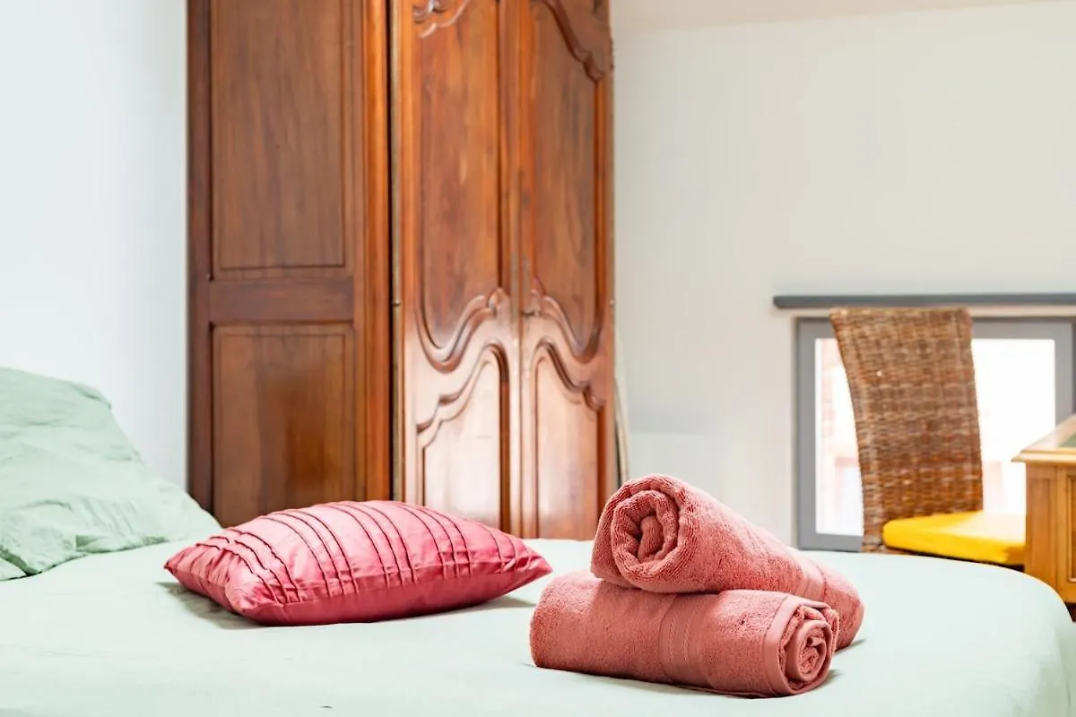 Le Grand Jany Spacious T4 With Terrace Castanet-Tolosan Apartament