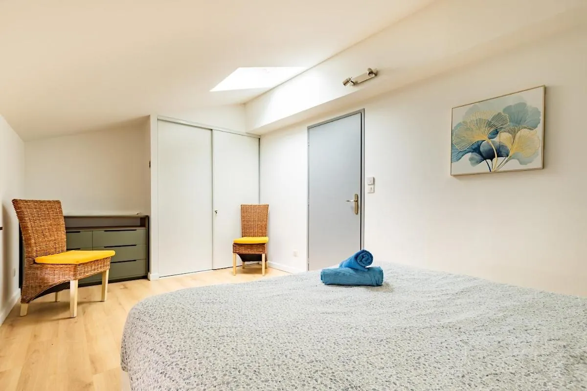 Le Grand Jany Spacious T4 With Terrace Castanet-Tolosan